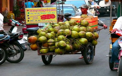 Siem Reap Angkor tour-city tour - cambodia daily life - cambodian coconut