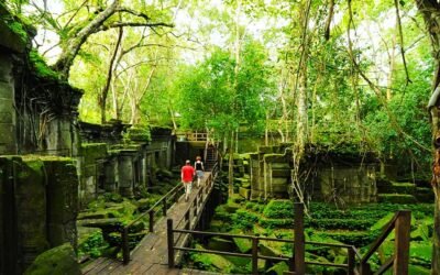 BENG MEALEA TEMPLE – SIEM REAP 1 DAY PRIVATE TOUR OPTIONS